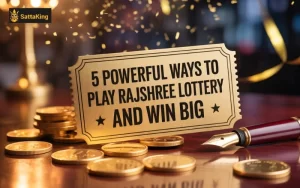 play rajshree lottery
